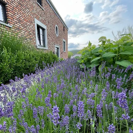 Privatunterkunft Proche Du Circuit - Francorchamps *