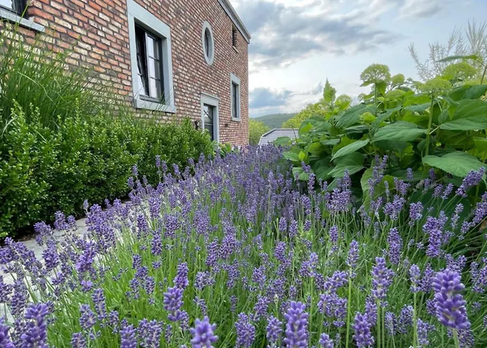 Privatunterkunft Proche Du Circuit - Francorchamps *